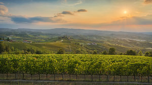 Die Weinberge der Langhe und das Schloss Grinzane Cavour im goldenen Sonnenuntergang