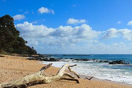 Coopers Beach, New Zealand by Niels Heinis
