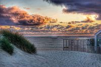 Texel