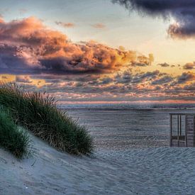 Texel sur Angela Wouters