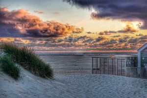 Texel sur Angela Wouters