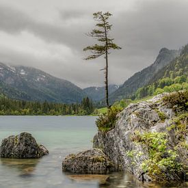 Hintersee in Berchtesgadener Land sur Maurice Meerten