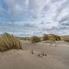 De Hors Texel vlak voor storm Eunice van Texel360Fotografie Richard Heerschap