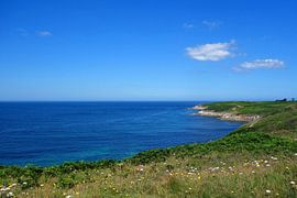 Grüne Küstenlinie am tiefblauen Ozean von Theodor Decker
