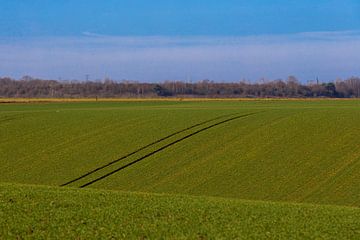 Matin ensoleillé sur les prairies vallonnées de Maastricht sur Kim Willems