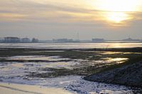 De nieuwe Noordwaard, Biesbosch Werkendam