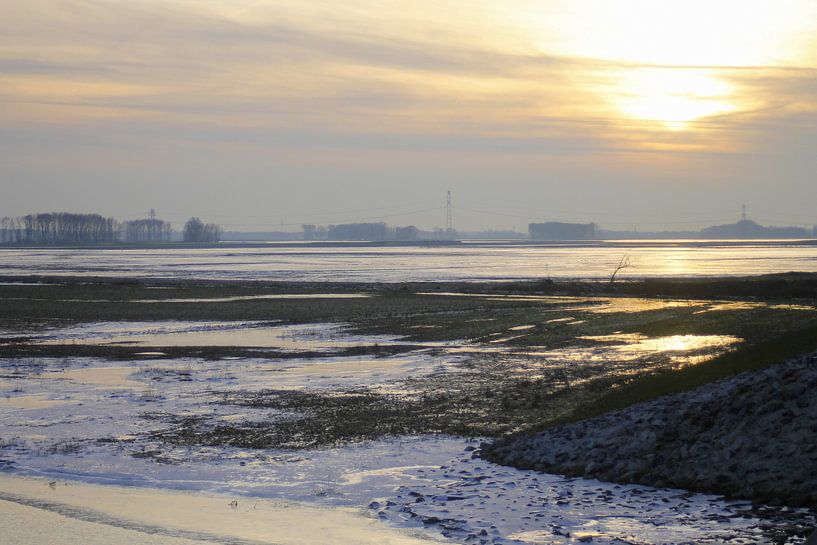 De nieuwe Noordwaard, Biesbosch Werkendam by Hanneke van Lit