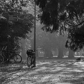 Cyclisme dans le parc sur Daan Pleijsier