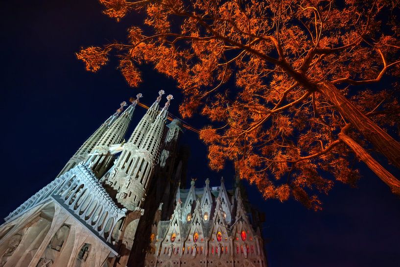 Sagrada Familia in de avond van Chi