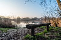 A photo safari through the Knoops Park in Bremen on the river Lesum