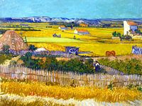 Oogst in La Crau - Vincent van Gogh - 1888