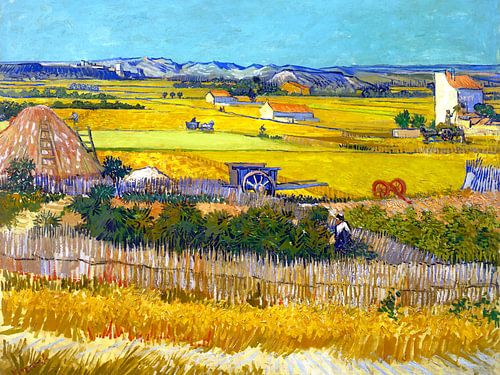 Harvest in La Crau - Vincent van Gogh - 1888