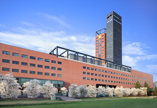 Interpolis headquarters with white blossom cherry trees