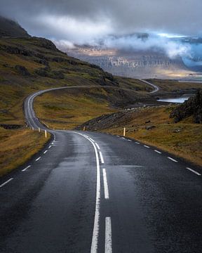 Bijzondere wegen in IJsland van Roy Poots