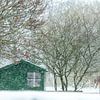 paarden die in een sneeuwstorm buiten staan zonder beschutting van Margriet Hulsker
