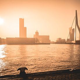Golden Sunrise Rotterdam