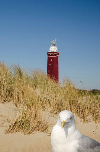 Leuchtturm Ouddorp mit Möwe
