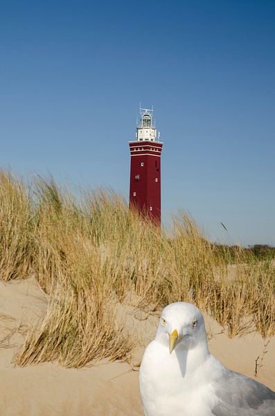 vuurtoren Ouddorp met meeuw van Annelies Cranendonk