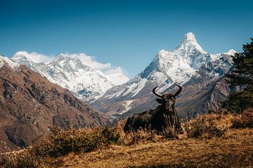 Mount Ama Dablam (6812m) en mount Everest (8848m) in Nepal van Thea.Photo