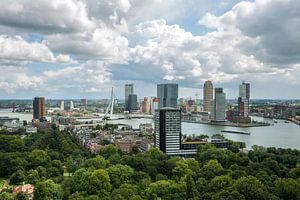 De skyline van Rotterdam
