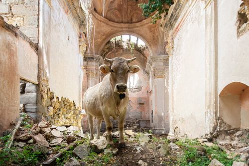 Ungewöhnliche Begegnung im Gotteshaus von Times of Impermanence