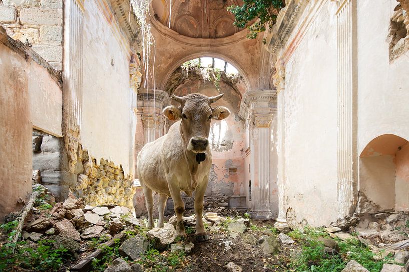Rencontre insolite dans un lieu de culte par Times of Impermanence