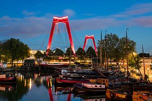 Vue nocturne de Willemsbrug depuis le vieux port de Rotterdam. sur Anton de Zeeuw