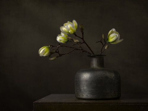Modern Still Life - Magnolia in hushed balance by Silvia Thiel