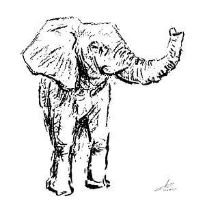 Zwart wit houtskool tekening van een olifant van Emiel de Lange