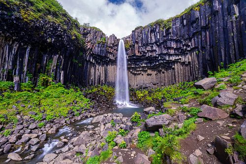 Svartifoss waterval IJsland