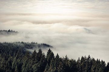 Vintage Bos in de Wolken, Nature Magick 