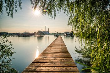 Landscape shot at the lake with wooden jetty and willow