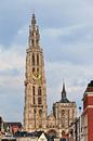 Toren van de Onze-Lieve-Vrouwekathedraal in Antwerpen van Dennis van de Water thumbnail