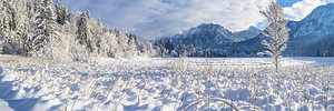 Schwansee im Winter, dahinter Schloss Neuschwanstein und der Tegelberg