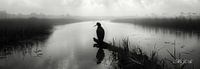 Mysterious Morning: A Bird of Paradise in the Misty Morning