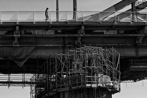 Under the Bridge 2022