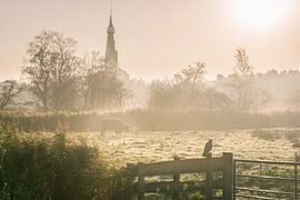 Kirche im Nebel von Koen Boelrijk Photography