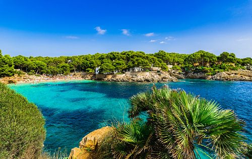 Mallorca island, beautiful bay beach of Cala Gat, Spain