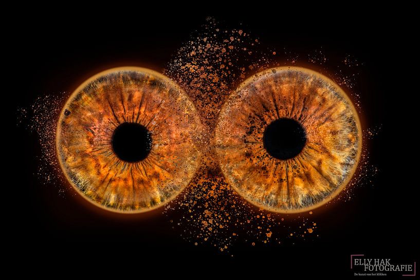 your social eyes by E.M Hak