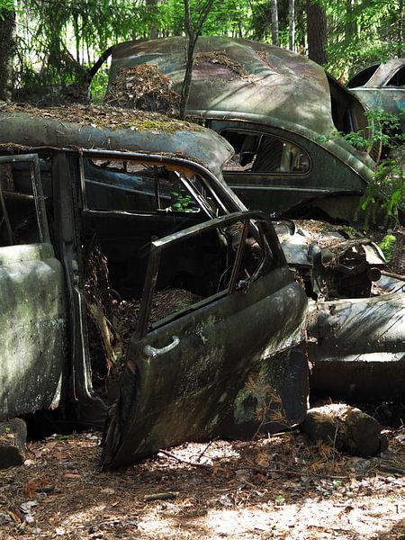 Autowrack im Wald bei Ryd 9 von Helene Ketzer