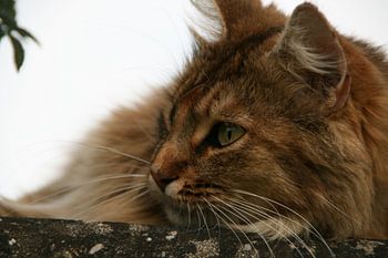 La force réside dans le calme !