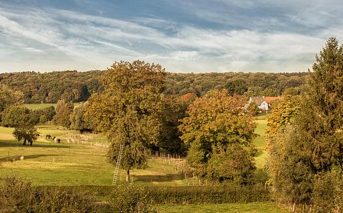 Vakwerkhuisje bij Terziet in Zuid- Limburg