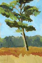 Lone spruce by Annet van den Ende