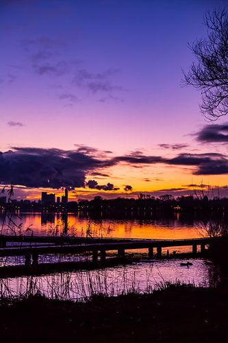 Like a Brave Summernight in Winter nr. 7