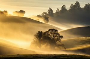 Morgennebel im Herbst