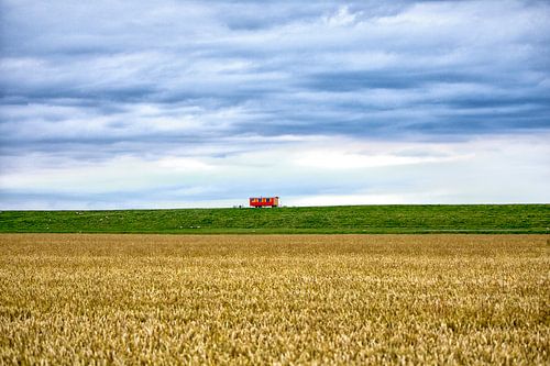 Voorstelling op De Dijk