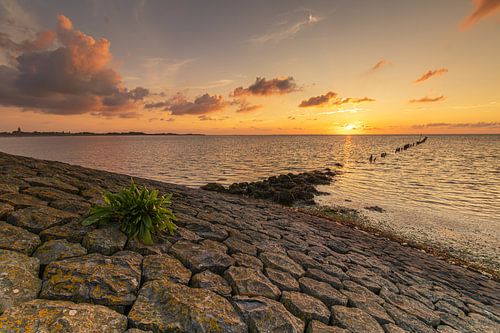 Genieten van de kleurrijke zonsondergang boven de Waddenzee bij Den Oever