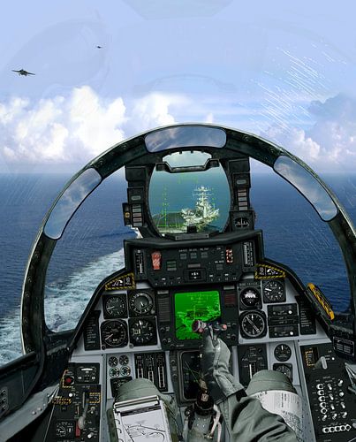 F-14A carrier landing van Cornelisz van de Beste