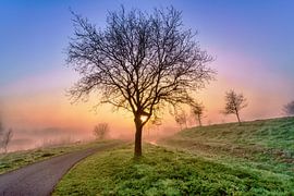 Sunrise Hiking Trail 13 by Marcel Kieffer