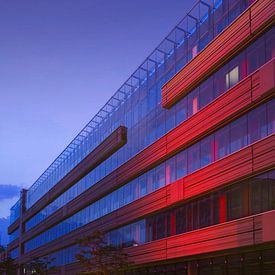 rood licht op het ministerie by Peter de Ruig